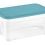 Contenitore trasparente con coperchio blu. Ideale per lo stoccaggio e l'organizzazione.
