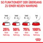 Guida all'alimentazione Royal Canin Kitten: passaggio al nuovo cibo in 7 giorni.
