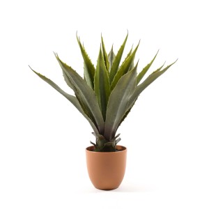 Agave finta in vaso 50 cm verde