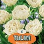 Tulipani bianchi Snow Crystal con petali frangiati, ideali per aiuole e vasi.