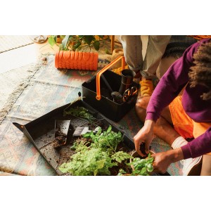 Scatola portaoggetti Fiskars con attrezzi e piante rinvasate, ideale per utensili da giardinaggio.