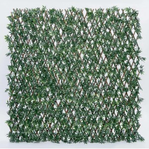 t.b.t. Frangivista con foglie verdi per giardino e balcone.