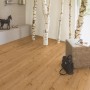 Laminato Kaindl Comfort 7 mm Rovere Severina posato in soggiorno con decorazioni.