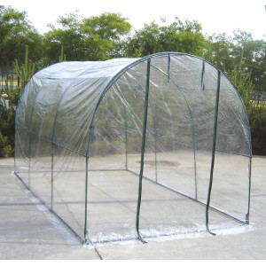 Serra a tunnel con montanti verdi e pellicola trasparente.