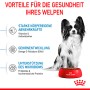 Royal Canin cibo per cuccioli di taglia molto piccola con cane piccolo e ciotola rossa.