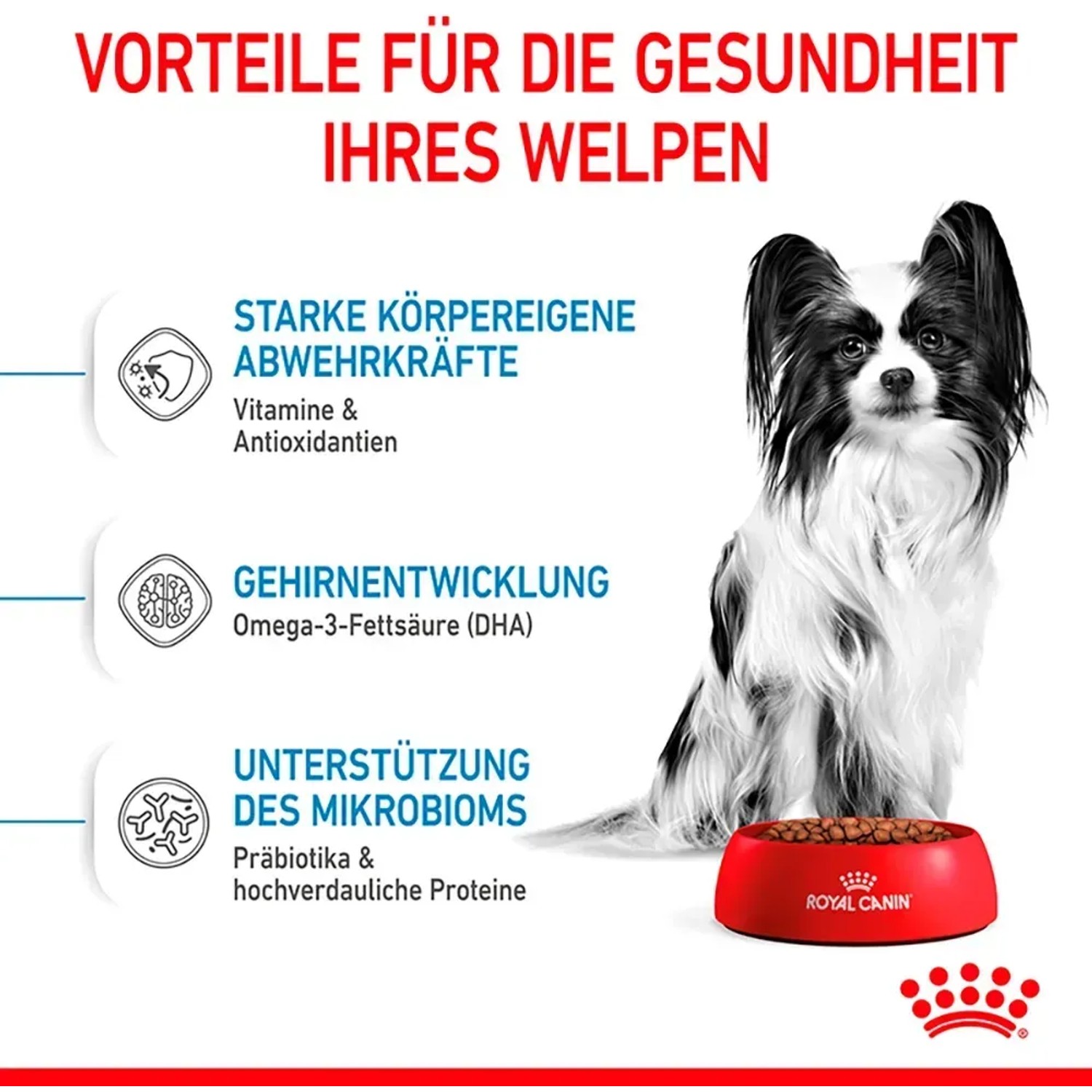 Royal Canin cibo per cuccioli di taglia molto piccola con cane piccolo e ciotola rossa.