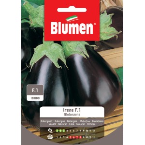 Confezione di semi di melanzana 'Irene F.1' di Blumen, semi di ortaggi per l'orto.