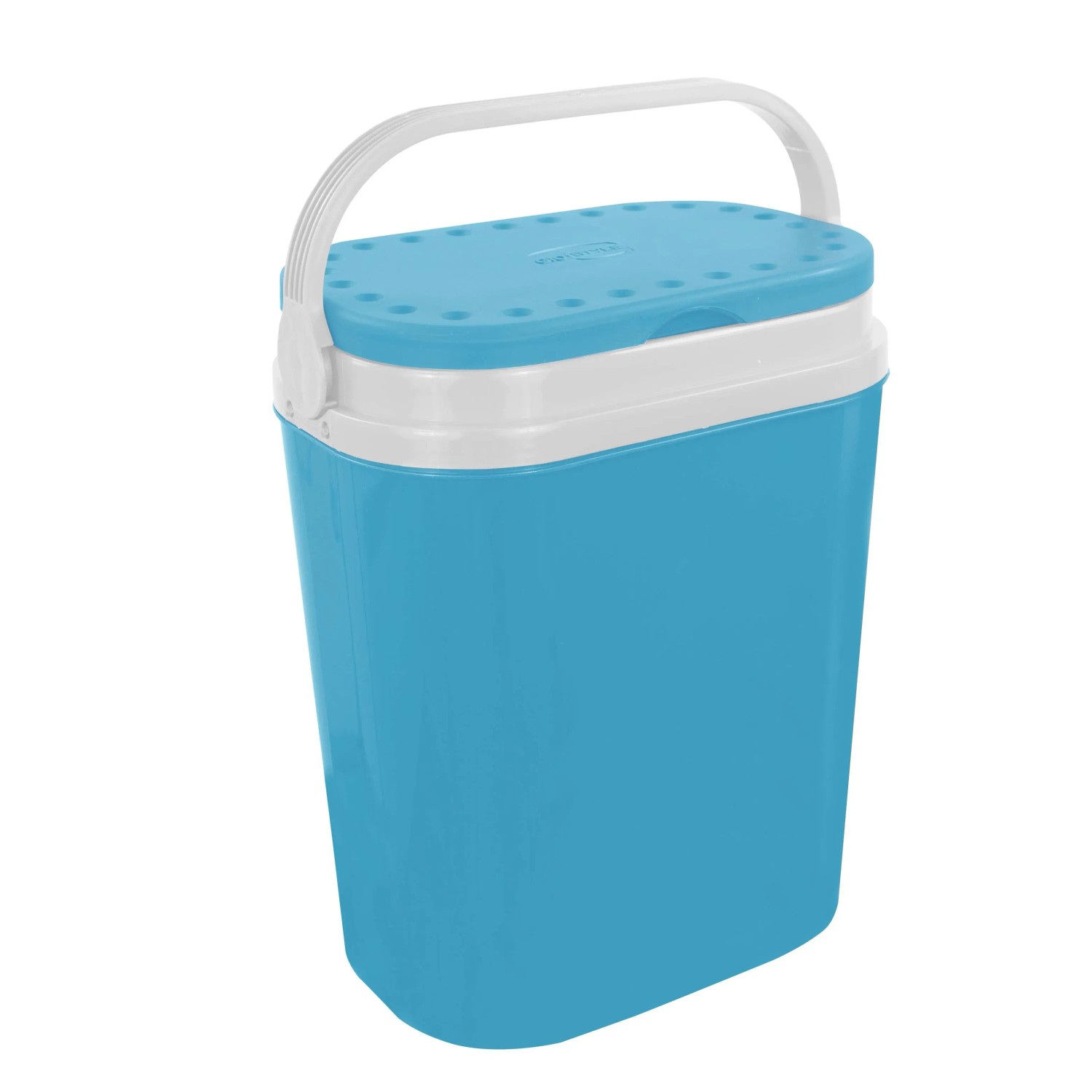 Frigorifero portatile blu con coperchio e manico bianchi per campeggio e tempo libero.