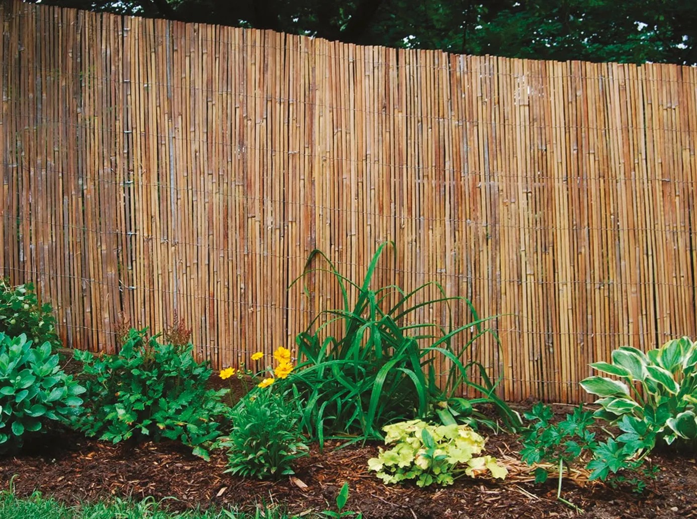 Arelle In Bambù 180x300 Cm - Resistente All'Acqua, Naturale E Durevole