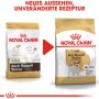 Royal Canin Jack Russell Adult cibo secco, confezione da 1,5 kg, supporta la massa muscolare e l'igiene orale.