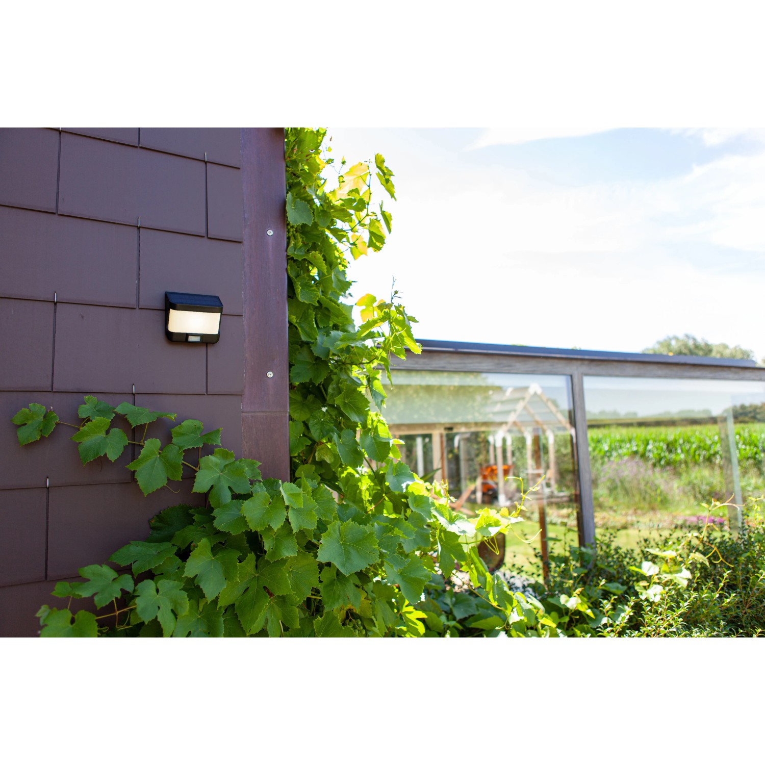 Lutec LED lampada da parete solare, nero opaco, con vite su muro di casa.