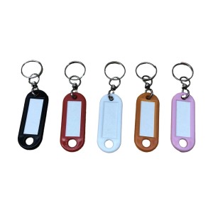 Cinque portachiavi colorati con etichetta e anello portachiavi.