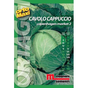 Confezione di semi di cavolo cappuccio 'Copenhagen Market 2' per l'orto.