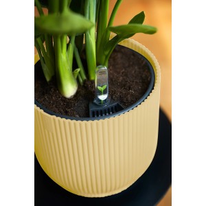 Vaso per fiori Elho Vibes Fold, Ø 18 cm, giallo burro, con pianta e sistema di irrigazione.