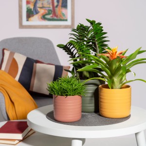 Vaso per piante Scheurich Cottage Curcuma, 12 cm, su tavolo con piante.