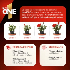 Concime universale NutriONE: crescita di una pianta in 7 giorni.