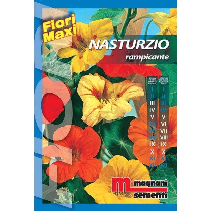 Semi fiori Nasturzio rampicante