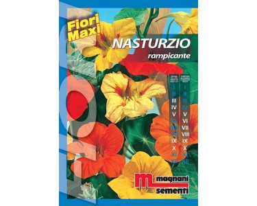 Semi Di Nasturzio Premium - 360 Semi Per Giardino Fiorito - Fiori Colorati E Facili Da Coltivare - Foto 8