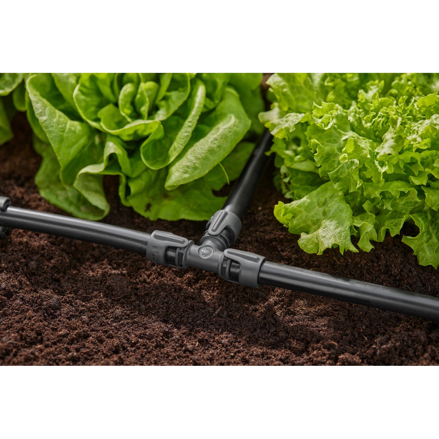 Sistema di irrigazione t.b.t. per irrigazione sotterranea in giardino.
