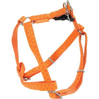 Pettor Mac Leather arancio 15 mm