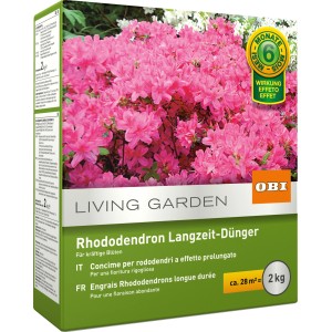 OBI Concime a Lenta Cessione per Rododendri 2 kg per fioriture rigogliose.