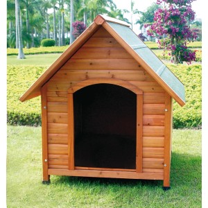 Cuccia per cani in legno con tetto verde per il giardino.