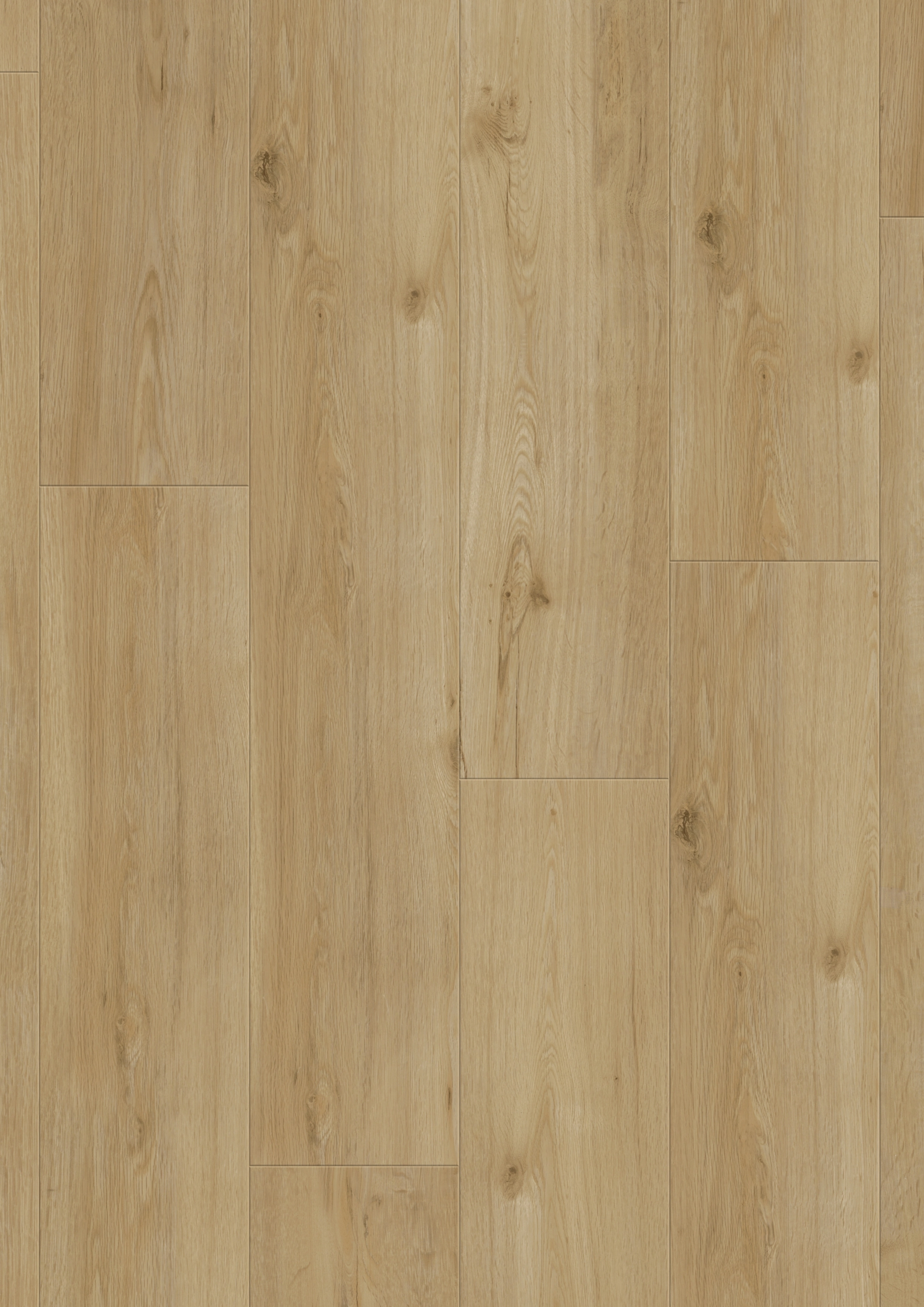 Green Label Spazzola Pavimenti Duri e Parquet Universale 30-38 mm x 30 –