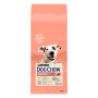 Purina Dog Chow Sensitive cibo secco per cani, sacco da 14kg.