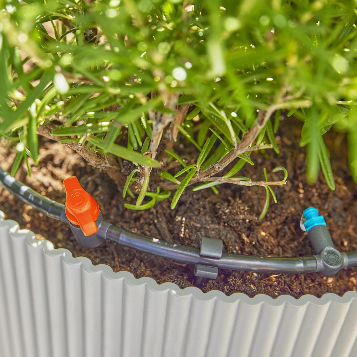 Set irrigazione a goccia Gardena per terrazza: dettaglio dell'irrigazione di piante in vaso.