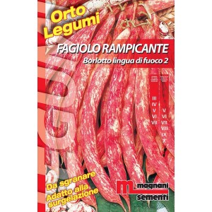 Confezione di semi di fagiolo rampicante Borlotto lingua di fuoco 2 per l'orto.
