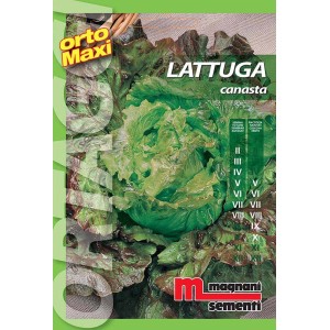 Confezione di semi 't.b.t.' per lattuga, categoria 'Semi da orto'.