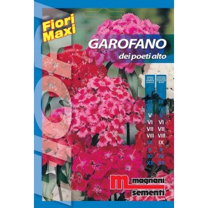 Confezione di semi t.b.t. per aiuole fiorite.