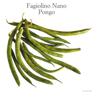 Fagiolini nani 'Pongo'. Ortaggio per l'orto.