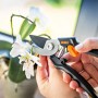 Forbici da giardino OBI in uso per tagliare un'orchidea, sistema bypass, rivestimento antiaderente.
