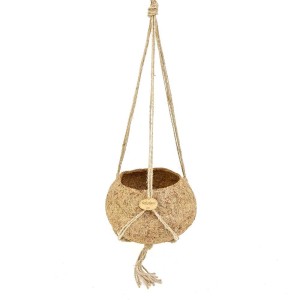 Cesto sospeso in fibra di cocco per piante fiorite.