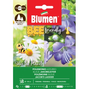 Confezione di semi di fiori con scala di Giacobbe a fiori blu (Polemonium caeruleum), amica delle api.