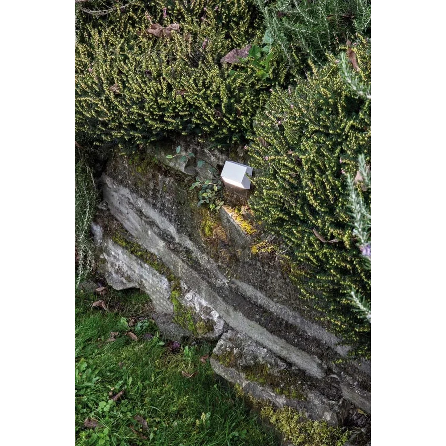 Segnapasso t.b.t. su muro in pietra con piante. Orientamento discreto in giardino.