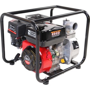 Motopompa DUCARD con telaio per giardino e irrigazione.