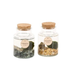 Due bottiglie di vetro con tappo di sughero, riempite con acqua, pietre e una palla di muschio Marimo. Composizione di piante per interni.