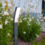 Lutec Kira lampada da vialetto a LED antracite (74 cm) in giardino tra i fiori.