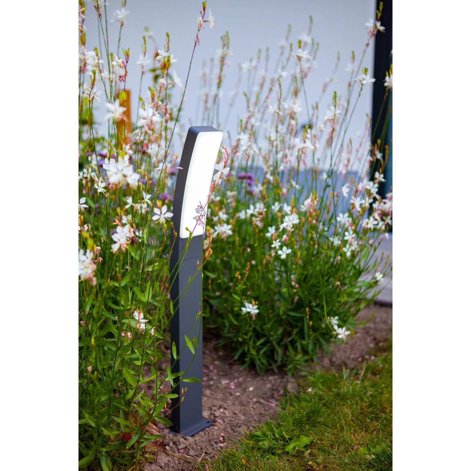 Lutec Kira lampada da vialetto a LED antracite (74 cm) in giardino tra i fiori.
