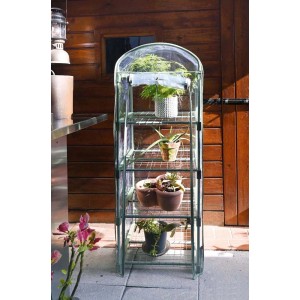 Piccola serra con piante su quattro ripiani.