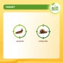 Esca granulare Lumachicida Bio pronto uso 200 g_4