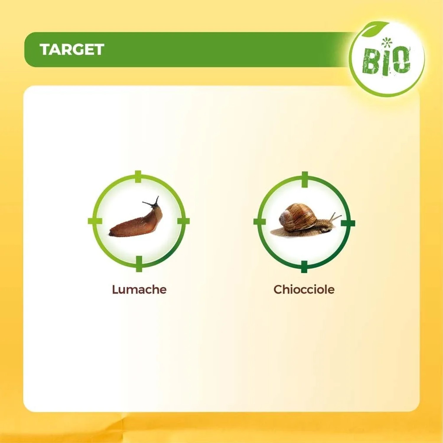 Esca granulare Lumachicida Bio pronto uso 200 g_4