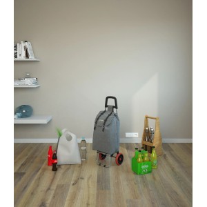 Carrello spesa grigio t.b.t. con bevande e borsa della spesa nella stanza.