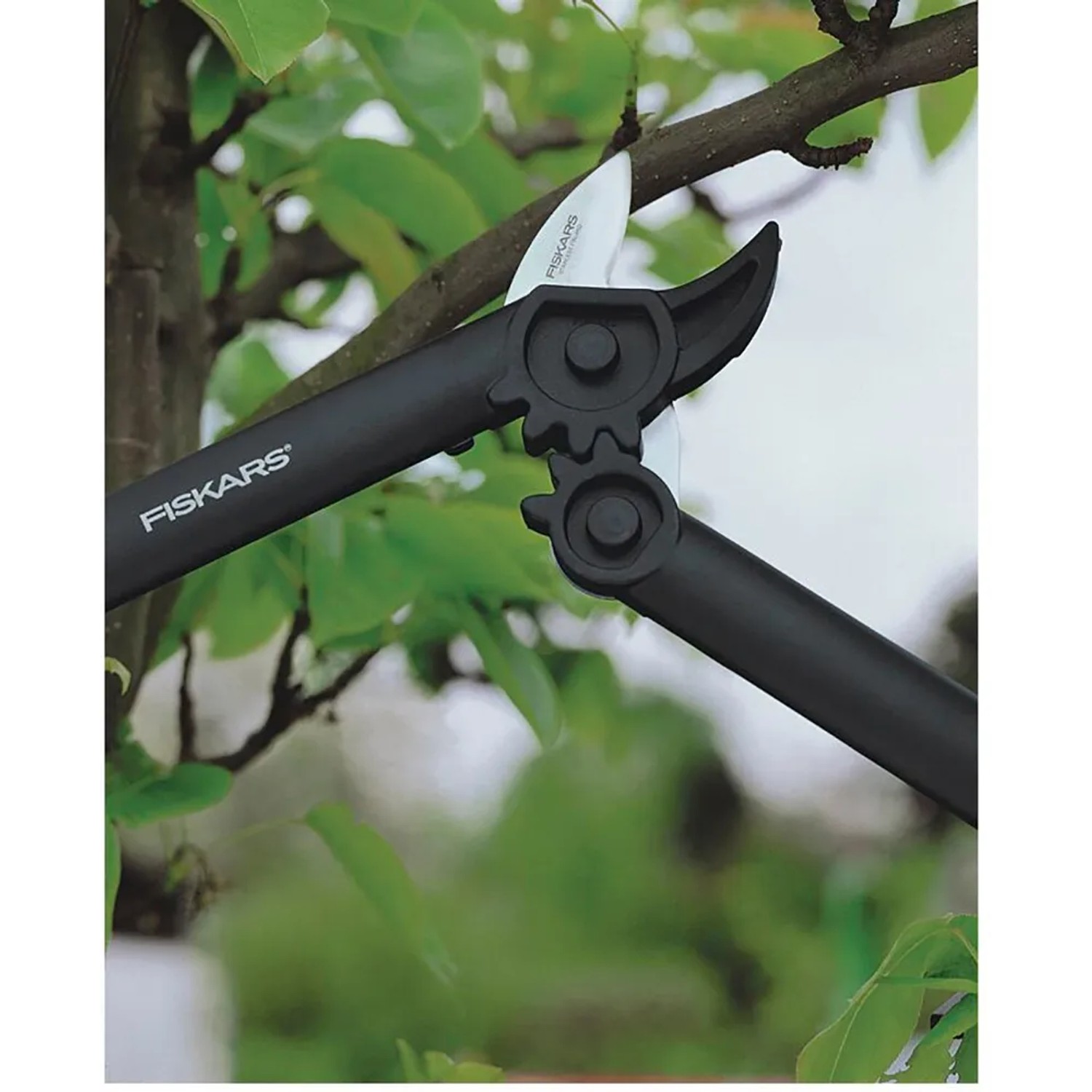 Cesoia a cricchetto Fiskars PowerGear L31 taglia ramo in giardino.