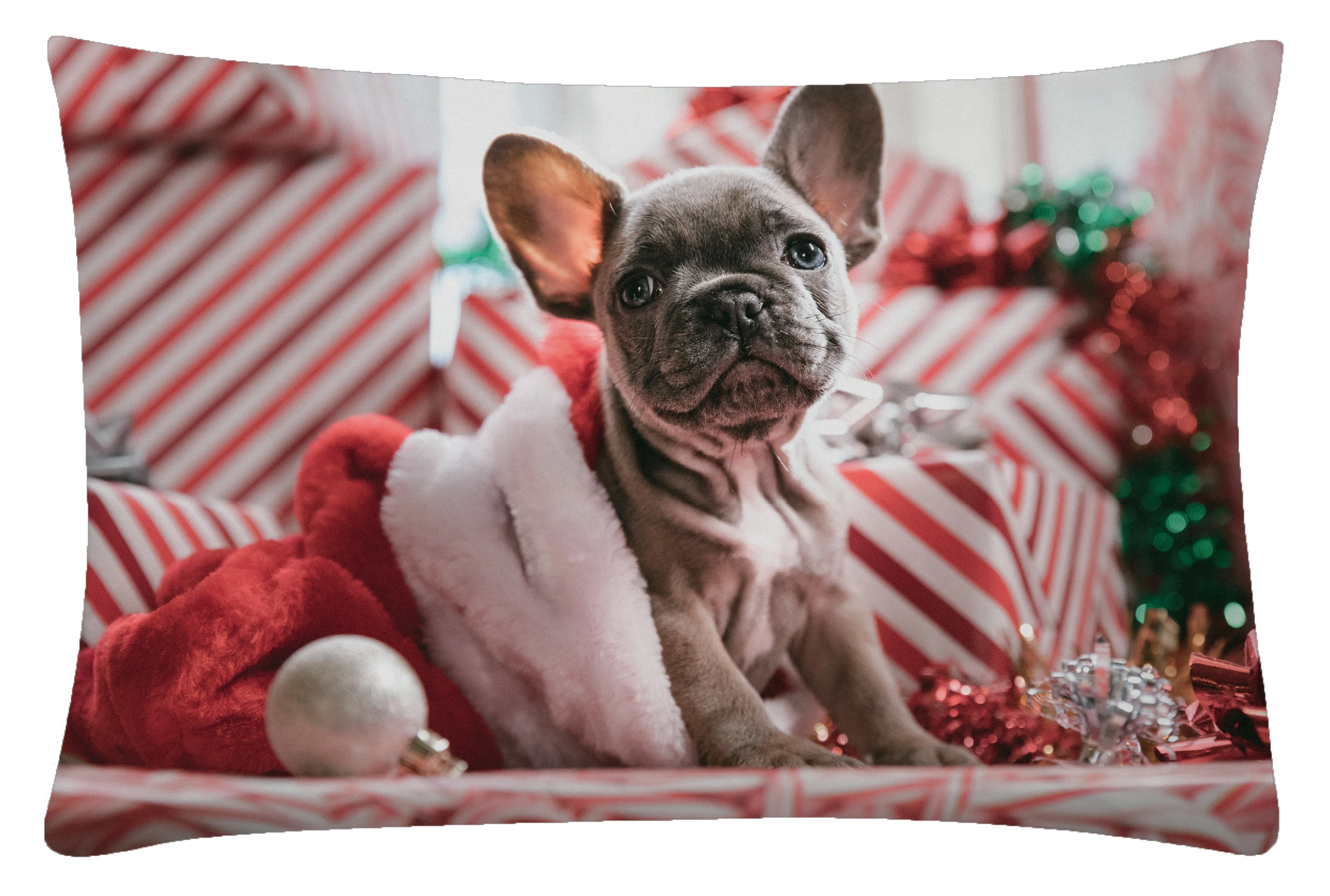 Federa per cuscino natalizia Cortina 50 x 80 cm