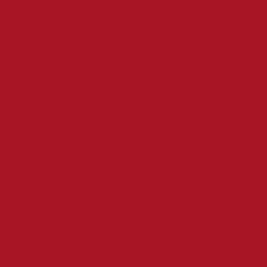 Sfondo rosso tinta unita per colori fai-da-te.