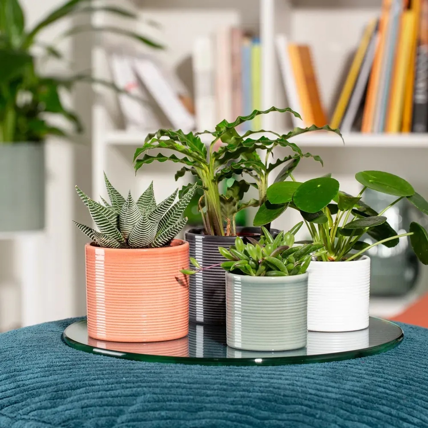 Coprivaso Vaso Per Piante Coubi Rotondo, Altezza 16 Cm, Colore