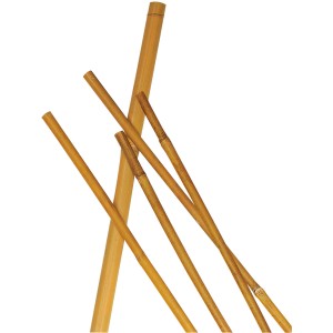 Tutori in bambù per giardinaggio, supporto per piante in giardino.